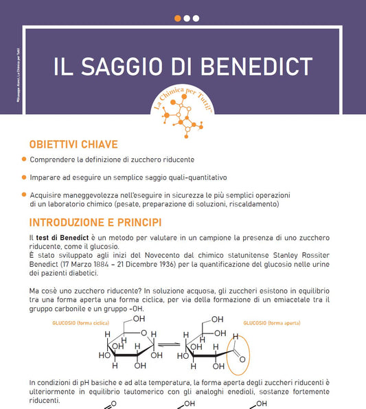 Scheda didattica - Il saggio di Benedict